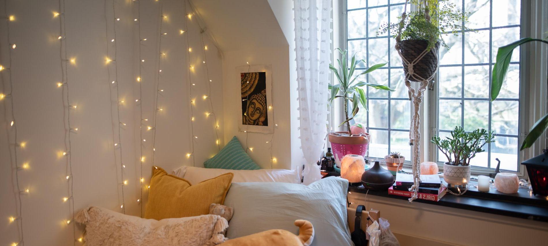 Dorm Room with twinkle lights and plants